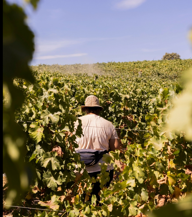 Screenshot 2025-11-13 at 17-57-28 (4) Facebook